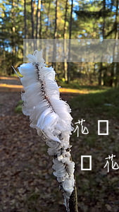 花唄逾期幾天起訴了-花唄逾期多久會被起訴?花唄逾期多久會打電話