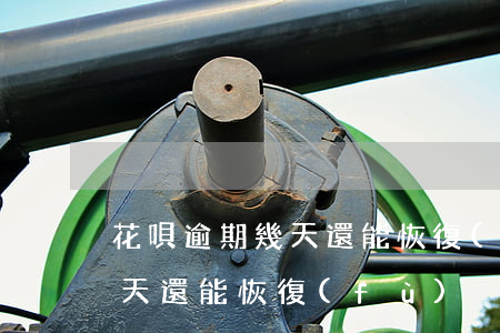花唄逾期幾天還能恢復(fù) 花唄逾期幾天還能恢復(fù)