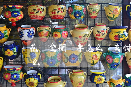 花唄逾期幾年怎么辦 支付寶花唄逾期幾年怎么還