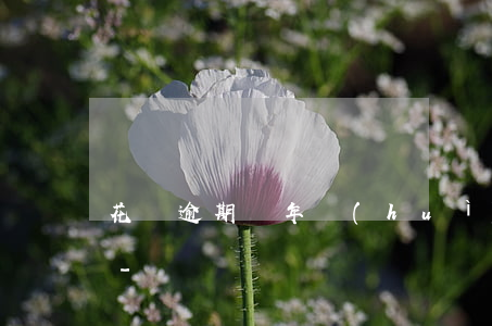 花唄逾期幾年會(huì)被拉入黑名單嗎-