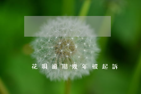 花唄逾期幾年被起訴
