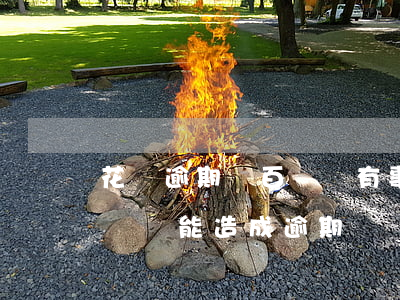 花唄逾期幾百塊會有事嗎(支付寶花唄欠幾百塊錢能造成逾期嗎?)