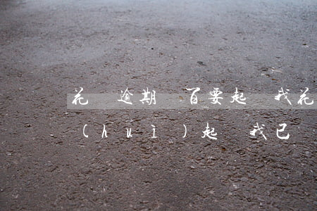 花唄逾期幾百要起訴我(花唄逾期多少金額會(huì)起訴,我已經(jīng)還了2000多)