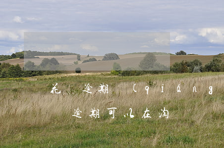 花唄逾期強(qiáng)制劃扣合法嗎(花唄逾期可以在淘寶買東西不被扣款嘛)