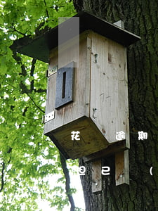 花唄逾期影響中信信用卡提額度嗎(花唄逾期但已經(jīng)還款了會(huì)影響個(gè)人信用嗎)