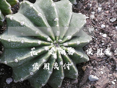 花唄逾期影響使用支付寶嗎-花唄逾期影響使用支付寶嗎