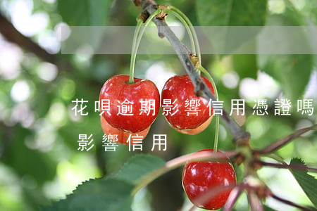 花唄逾期影響信用憑證嗎(花唄本月超期沒還影響信用)