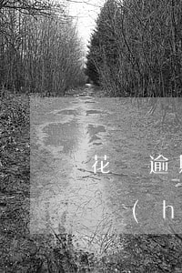 花唄逾期影響借微粒貸嗎(花唄逾期了微粒貸會(huì)不會(huì)借不出錢了)