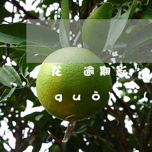花唄逾期影響備用金么(花唄備用金逾期過(guò)對(duì)買房貸款有影響嗎)