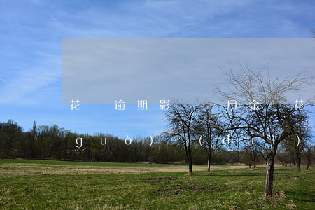 花唄逾期影響備用金嗎(花唄備用金逾期過(guò)對(duì)買(mǎi)房貸款有影響嗎)