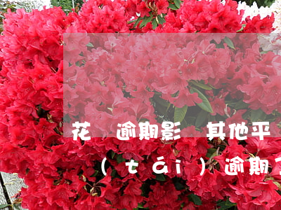 花唄逾期影響其他平臺(tái)嗎(別的平臺(tái)逾期了支付寶借唄花唄還能用嗎)