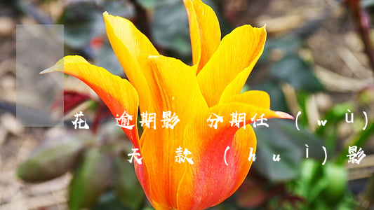 花唄逾期影響分期任務(wù)(花唄分期推遲兩天還款會(huì)影響信譽(yù)嗎)