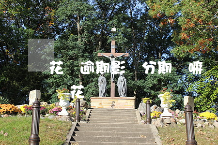 花唄逾期影響分期樂嘛(來分期逾期影響支付寶花唄嗎)