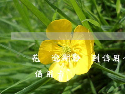花唄逾期影響到信用卡嗎-花唄逾期會影響信用卡嗎