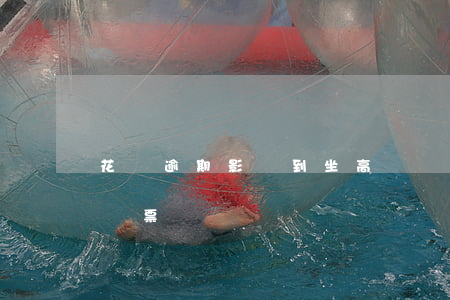花唄逾期影響到坐高鐵嗎(借唄逾期可以買高鐵票嗎?)