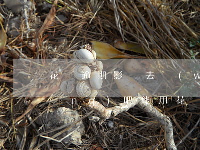 花唄逾期影響去網(wǎng)吧嗎(網(wǎng)吧能用花唄嗎)