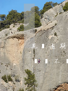 花唄逾期影響學(xué)位嗎(花唄逾期不還會不會影響辦別的任何事情)