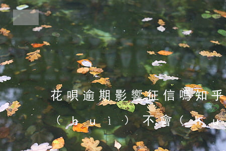 花唄逾期影響征信嗎知乎(花唄和借唄逾期會(huì)不會(huì)影響我銀行征信呢)