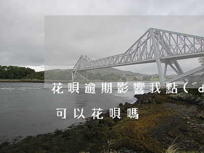 花唄逾期影響我點(diǎn)外賣嗎(外賣可以花唄嗎)