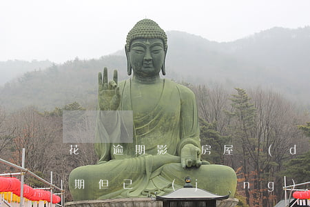花唄逾期影響房屋擔(dān)保嗎(花唄逾期但已經(jīng)還款了會影響個人信用嗎)