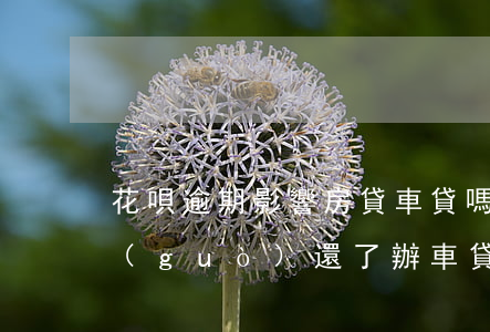 花唄逾期影響房貸車貸嗎(花唄兩年前逾期過(guò)還了,辦車貸有影響嗎)