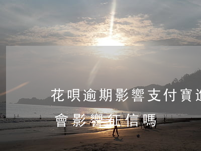 花唄逾期影響支付寶進賬嗎(支付寶花唄逾期會影響征信嗎)