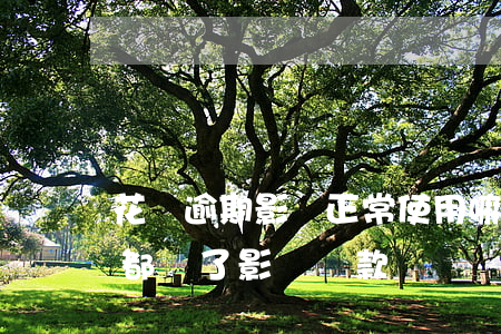 花唄逾期影響正常使用嘛(花唄有過逾期,但是都還了,影響貸款嗎)
