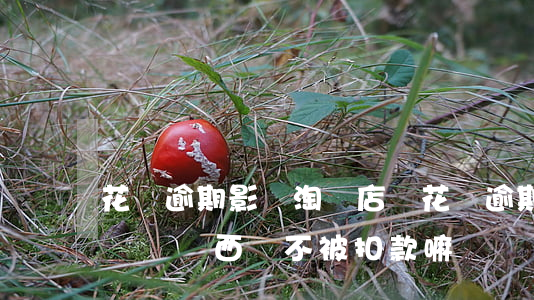 花唄逾期影響淘寶店嗎(花唄逾期還可以在淘寶買東西嗎不被扣款嘛)