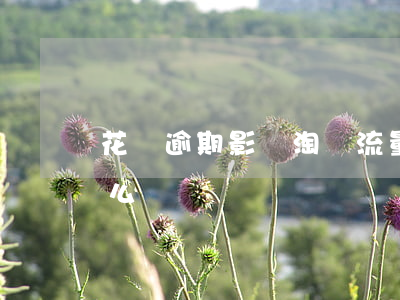 花唄逾期影響淘寶流量(花唄欠款會影響淘寶么)