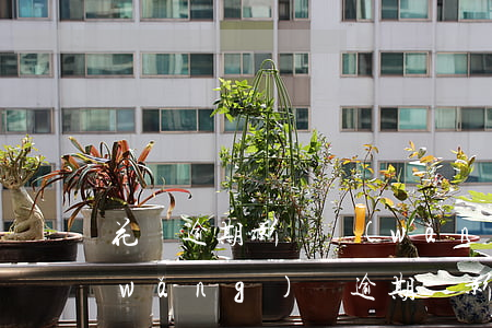 花唄逾期影響網(wǎng)貸申請嗎(網(wǎng)貸逾期會影響花唄被凍結(jié)是啥原因)