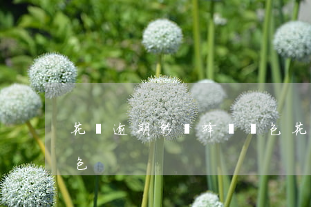 花唄逾期影響蜂鳥眾包(花唄逾期影響蜂鳥眾包)