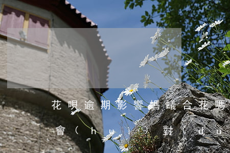 花唄逾期影響螞蟻合花嗎(螞蟻花唄逾期不還會(huì)對(duì)個(gè)人造成什么影響)