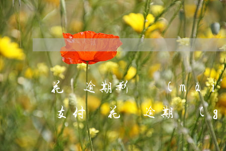 花唄逾期影響買(mǎi)手機(jī)嗎(支付寶花唄逾期過(guò)可以辦理分期買(mǎi)手機(jī)嗎)
