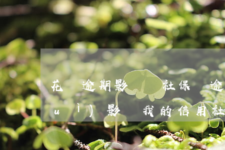 花唄逾期影響辦社保嗎(逾期不還花唄會(huì)影響我的信用社貸款嗎)