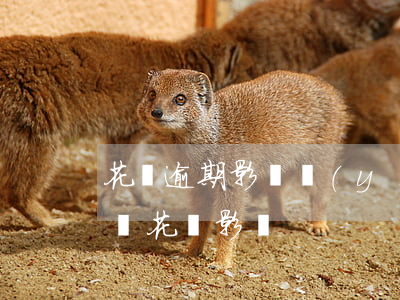 花唄逾期影響醫(yī)療卡嗎(信用卡逾期對花唄影響)