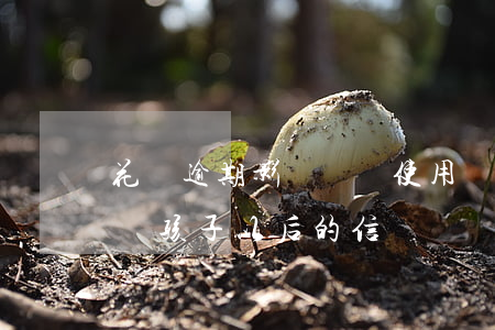 花唄逾期影響釘釘使用嗎(花唄逾期嚴重會影響孩子以后的信譽嗎?)