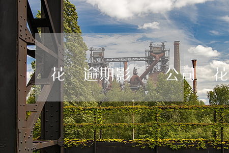 花唄逾期影響開公司嗎 花唄逾期影響開公司嗎