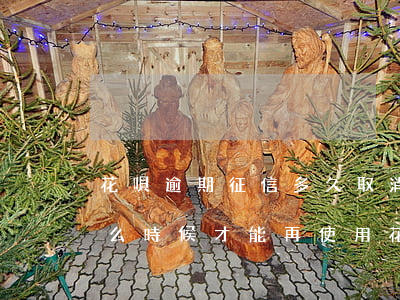 花唄逾期征信多久取消(花唄逾期上征信了什么時候才能再使用花唄)