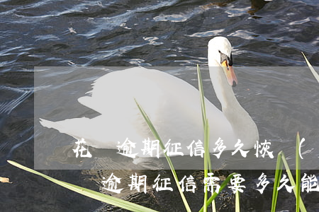 花唄逾期征信多久恢復(fù)(螞蟻花唄借唄逾期征信需要多久能恢復(fù))