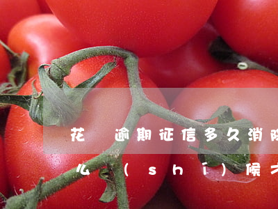 花唄逾期征信多久消除(花唄逾期上征信了什么時(shí)候才能消除)