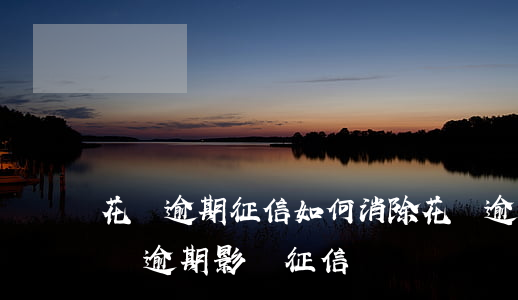 花唄逾期征信如何消除(花唄逾期上征信嗎?花唄逾期影響征信嗎)