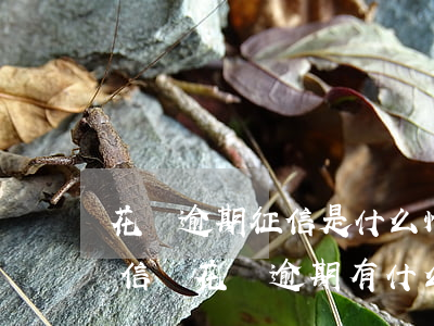 花唄逾期征信是什么情況(花唄逾期多久上征信嗎?花唄逾期有什么后果)