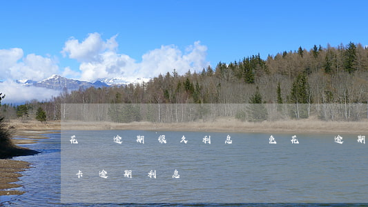 花唄逾期很久利息減免(花唄逾期利息和信用卡逾期利息)