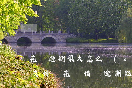 花唄逾期很久怎么協(xié)商分期還款(支付寶花唄借唄逾期能不能協(xié)商分期)