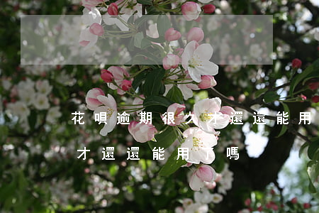 花唄逾期很久才還還能用了嗎(花唄逾期很久才還還能用了嗎)