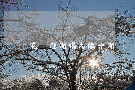 花唄逾期很久能分期嗎