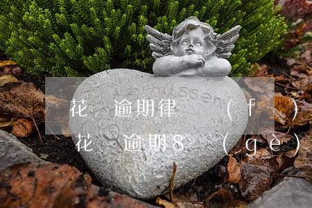 花唄逾期律師發(fā)來(lái)短信(花唄逾期8個(gè)月家人收到法律短信怎么辦)