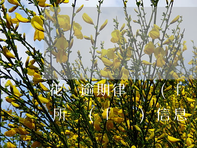 花唄逾期律師發(fā)信息(花唄逾期律師所發(fā)信息說要立案)