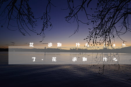 花唄逾期從什么時(shí)候開始上征信了-花唄逾期從什么時(shí)候開始上征信了呢