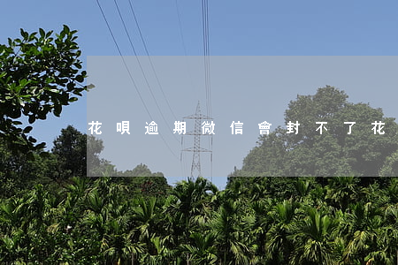 花唄逾期微信會封不了(花唄逾期會封微信嗎)